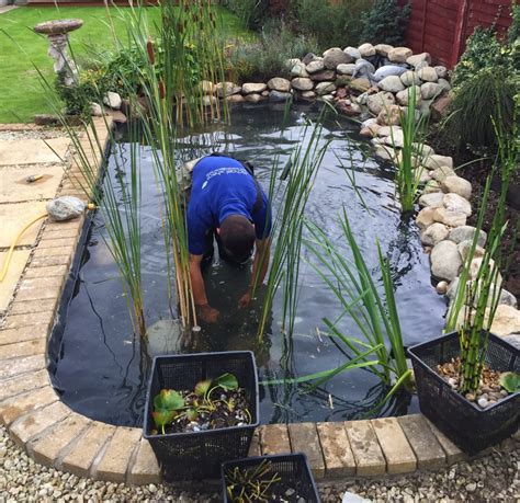 Pond maintenance. Things To Know About Pond maintenance. 